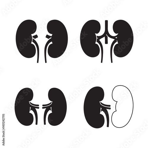 human body parts of kidney vector silhouette icon set design illustrations