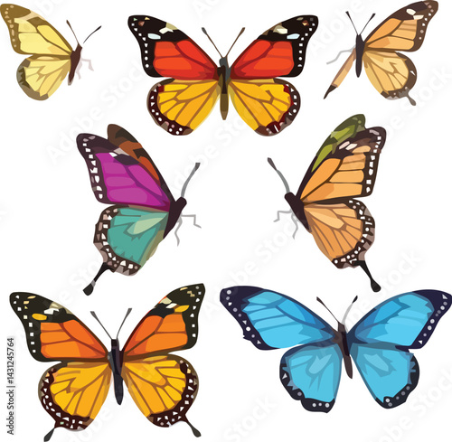Butterfly Butterflies, many angles and view frontal side head shot isolated on transparent background
