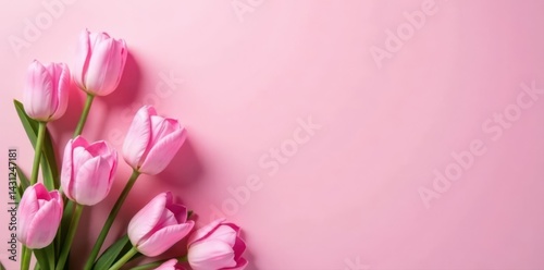 Pastel pink background, pink spring flowers flatlay Happy Easter, Mother's Day , beautiful, wallpaper, pretty