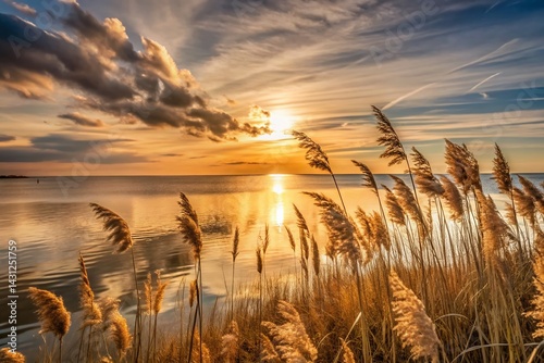 Minimalist Autumn Seashore: Reed Field at Sunset, Golden Hour Coastal Landscape