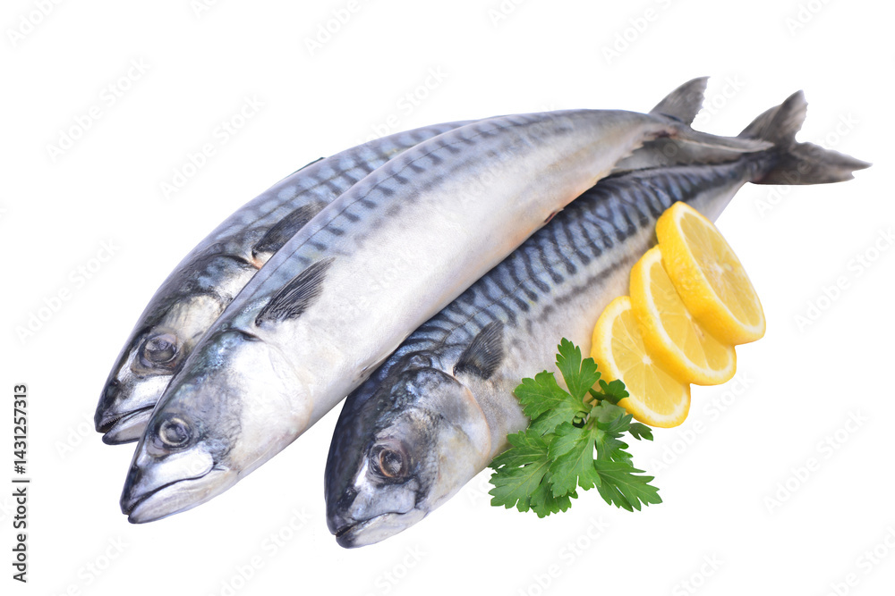 Fresh fish mackerel isolated