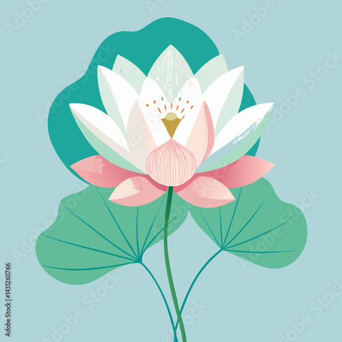 Elegant Pink and White Lotus Flower with Green Leaves