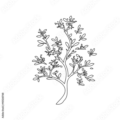 Simple botanical line drawing of a blossoming tree with leaves and flowers