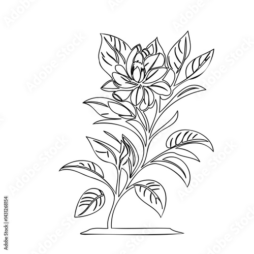 Elegant botanical line art depicting a blossoming flower and foliage design