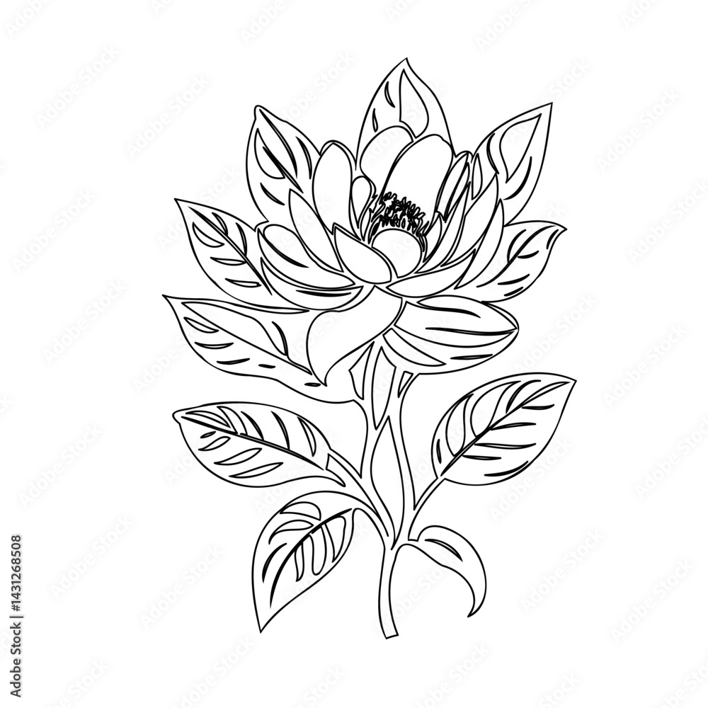 Fototapeta premium Elegant Botanical Illustration: Detailed Line Art of a Blooming Flower Design