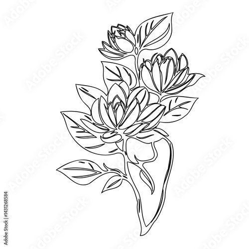 Elegant floral illustration featuring blooming lotus with detailed line work and shading