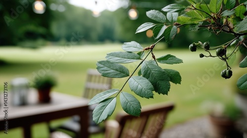 Obraz na płótnie A tranquil summer garden comes alive at night with soft lights, lush trees, and inviting seating that enhances the outdoor space s charm w salonie