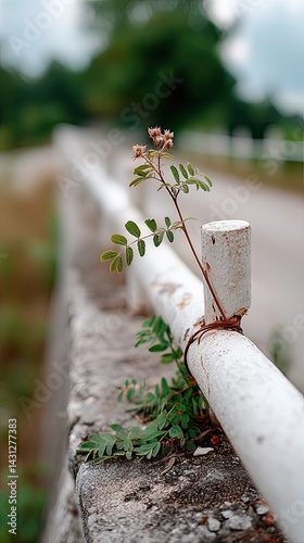 Close-up of a stylish garden featuring a white metal fence, lush green plants, and stone paving under bright sunny weather