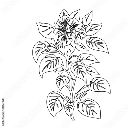 Botanical drawing: stylized flower with detailed leaves in a minimalist black and white illustration