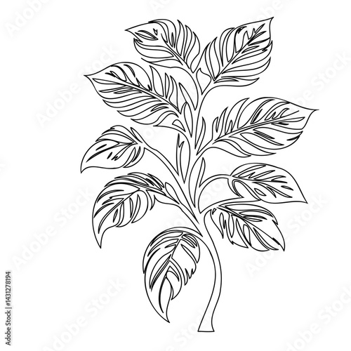 Delicate line illustration portraying organic botanical foliage formation