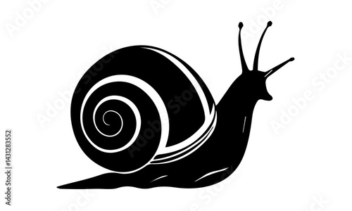 snail isolated on white background