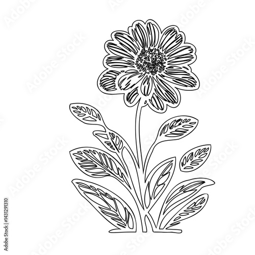 Intricate floral outline illustration of a blossoming flower with leaves