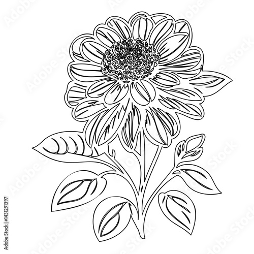 Monochrome floral illustration showcasing elegant petals and organic simplicity
