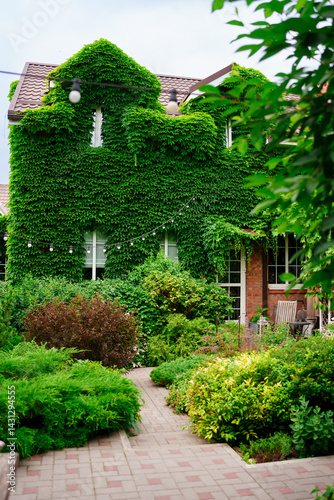 Obraz na płótnie a house and a courtyard of a country house, braided with greenery. w salonie