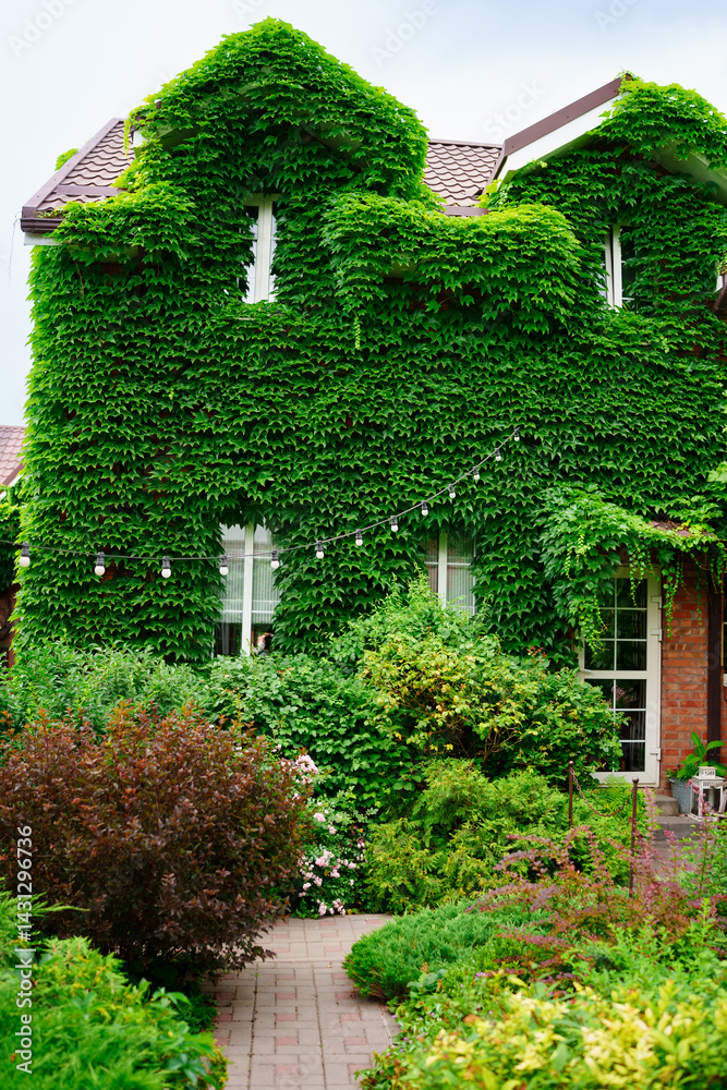 a house and a courtyard of a country house, braided with greenery.