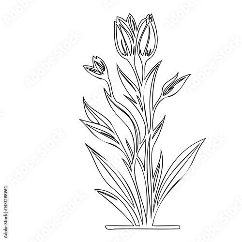 Elegant floral drawing showcasing blossoming tulip buds and elongated leaves