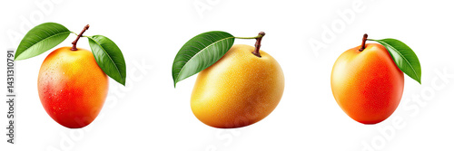 Premium Mango Vector Collection, A clean and simple mango illustration, designed with soft curves and refined shading for a sophisticated fruit graphic