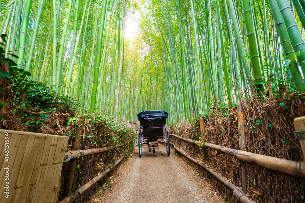 Obraz premium Traditional richshaw in Arashiyama green bamboo forest at Kyoto, Japan