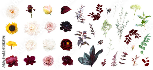 Moody boho trendy vector design floral big set. Pink blush rose, burgundy red dahlia, dark peony, yellow sunflower, iris, tulip, orchid, dahlia, greenery. Wedding decoration. Isolated and editable