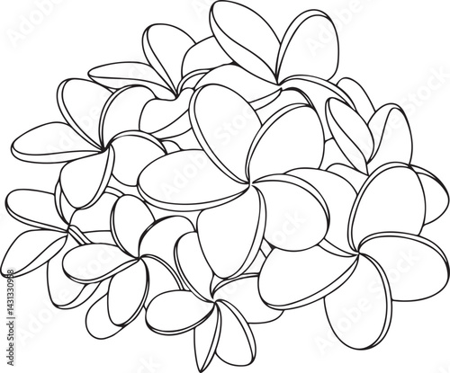 A continuous line art sketch featuring plumeria and jasmine flowers arranged in a tropical cluster drawn in a minimalist black style on a plain white background