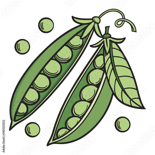  Fresh Green Peas Vector Illustration