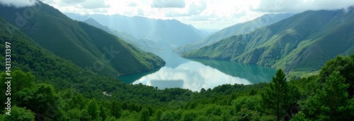 Picturesque forest landscape with a lake from a bird's eye view