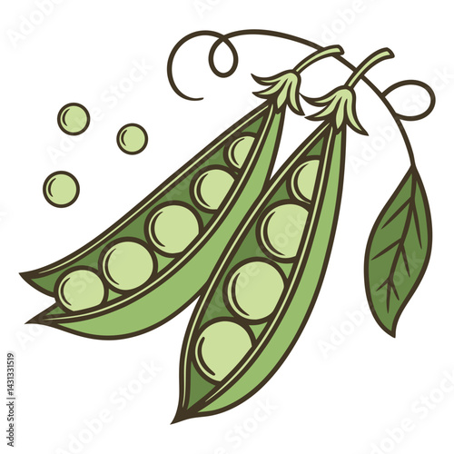  Fresh Green Peas Vector Illustration
