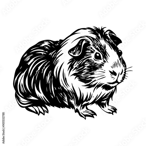 Guinea pig illustration in vintage style 
