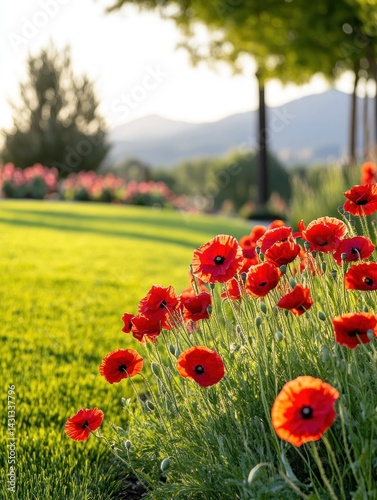 Flags and poppies laid neatly on graves in a veterans' cemetery, symbolizing remembrance and honor. photo