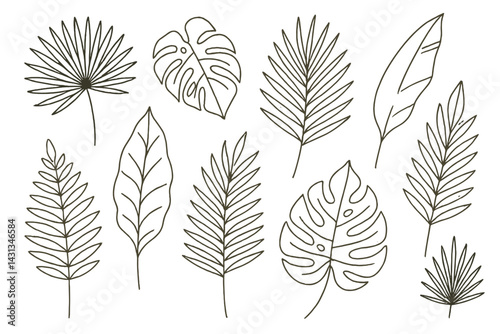 Collection of hand-drawn vector icons featuring various leaf designs and shapes for use in graphic projects