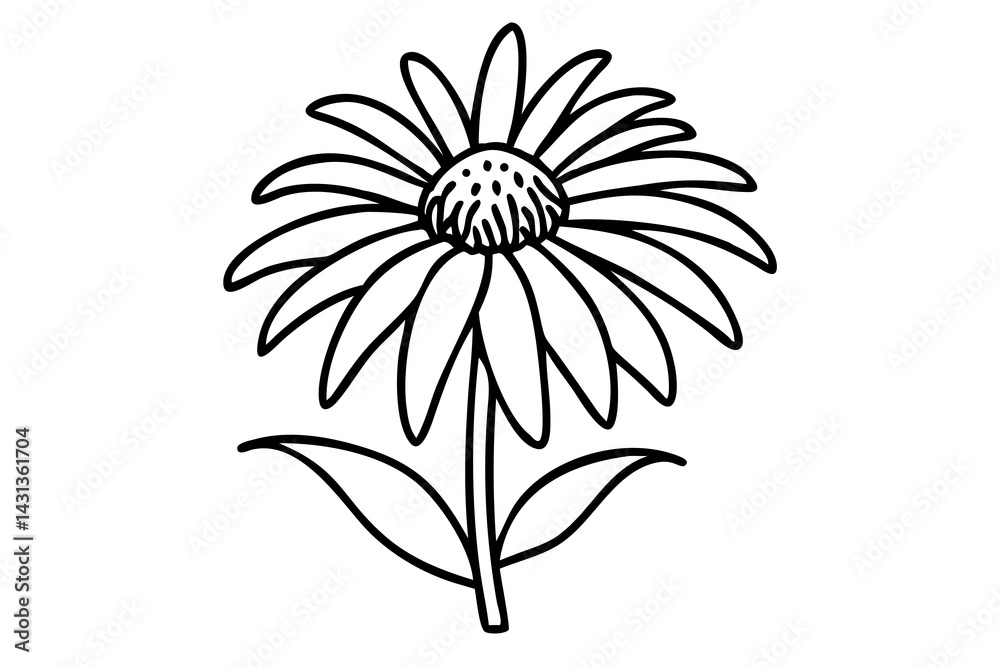 Fototapeta premium Echinacea Flower Illustration for Botanical Bloom Art, Herbal Plant Sketch, Garden Flower Drawing