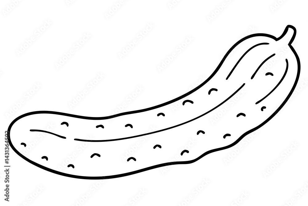 Cucumber Illustration for Fresh Vegetable Art, Garden Produce Sketch, Healthy Food Drawing Cucumber Illustration for Fresh Vegetable Art, Garden Produce Sketch, Healthy Food Drawing