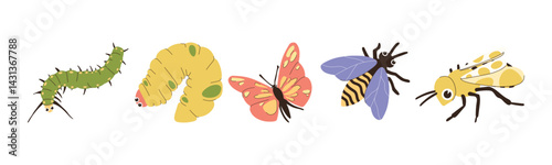Colorful illustration showcasing different insect forms including caterpillar, pupa, butterfly, bee, and wasp. A visual representation of transformation in nature.