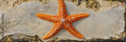 Bright Orange Starfish Resting on a Sandy Surface in a Coastal Environment During Daylight Hours Generative AI