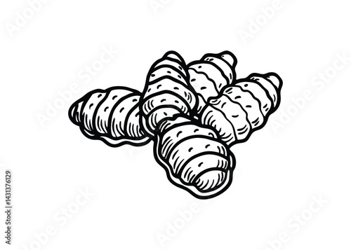 Silhouette of ginger nuts isolated on a white background