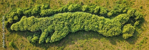 Obraz na płótnie Abstract Animal Shape Formed by Treetops Reveals Forest Connection From Aerial View in Vibrant Green Landscape Generative AI w salonie