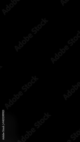 Two Black and White Liquid Flow Transitions from Top and Bottom. Dual Fluid Ink-Like Animation with Soft Edges and Smooth Motion for Overlays, Alpha Masks and Matte Reveals. Vertical Video. FL0133