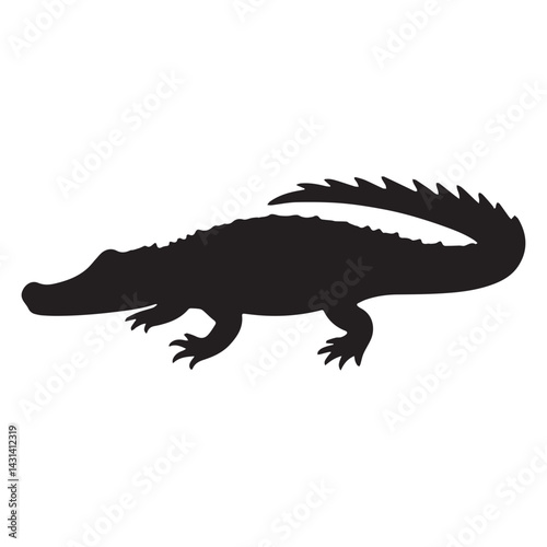 crocodile isolated on white
