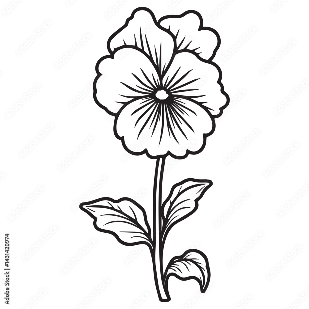 hand drawn flower