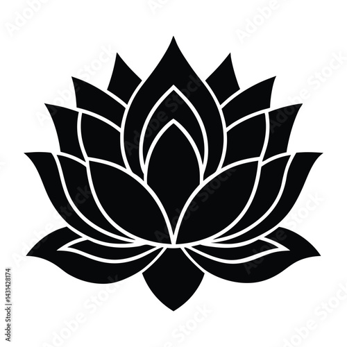 Lotus flower with symmetry on white background