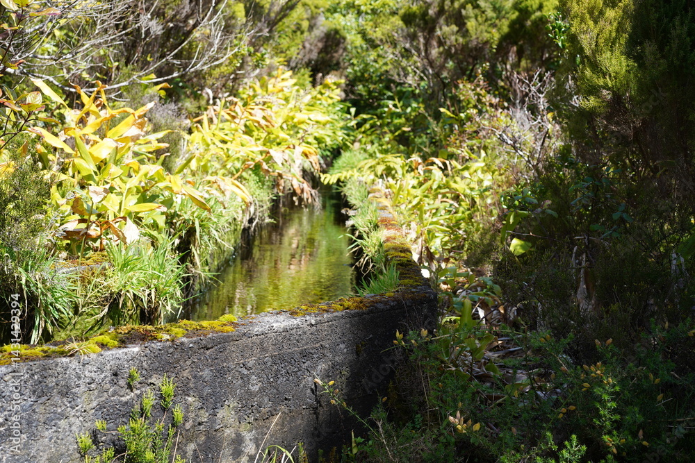 Levada am Wanderweg zum Lagoa do Fogo auf São Miguel