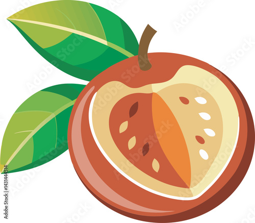 A vibrant vector art illustration showcasing the delicious miracle fruit marula, bursting with color and detail in a tropical, exotic style.