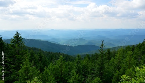 Scenic Mountain Range Vista with Evergreen Forest Under a Cloudy Sky