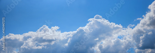 Obraz na płótnie wide sky background with heaps of cumulus clouds in the lower half, blue space above w salonie