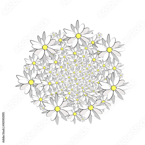 Chamomile