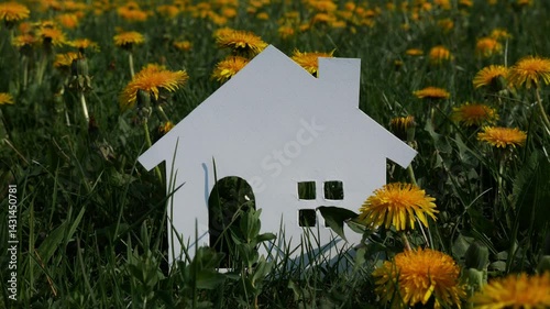 Paper house on green grass in open field.