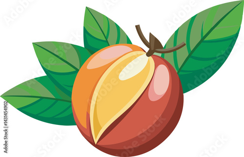 A vibrant vector illustration of delicious marula fruit, showcasing its tropical charm and miracle-like qualities in bold, colorful detail.