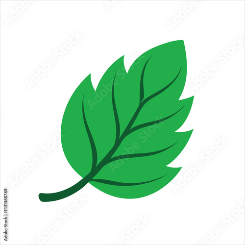 Green Leaves Vector isolated white background