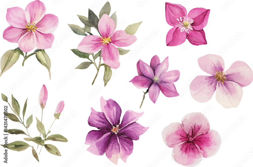 set of pink flowers set of pink flowers