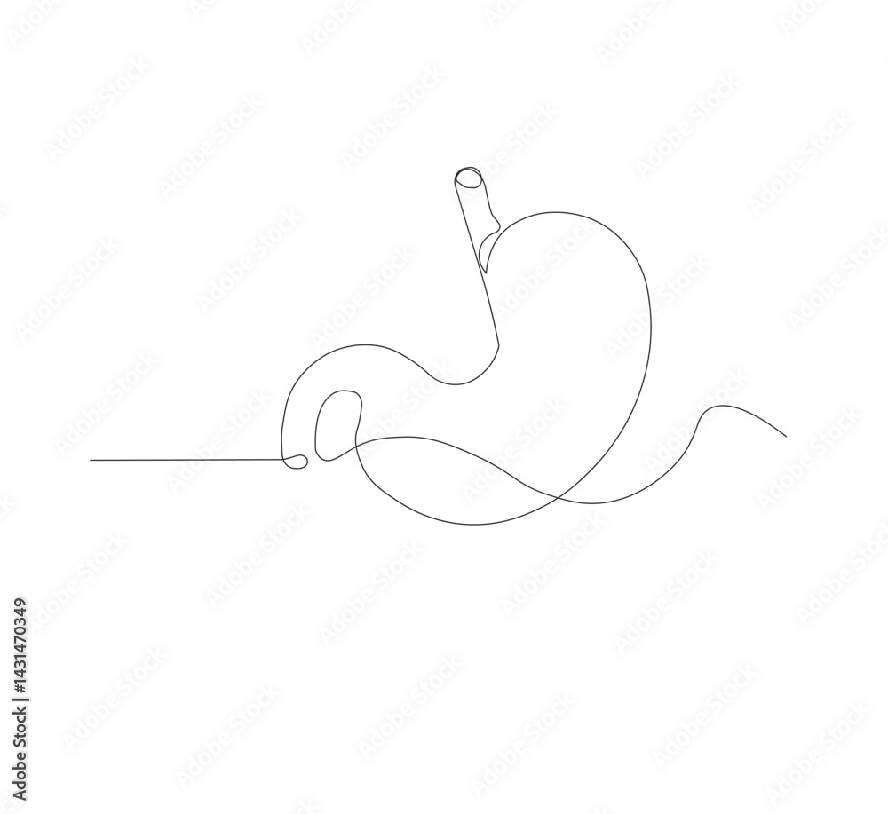 Fototapeta premium continuous line drawing of stomach, anatomy concept on minimalist white background. vector illustration